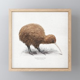 Southern brown kiwi art print Framed Mini Art Print