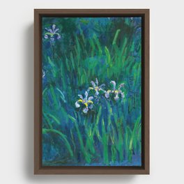 Claude Monet  iris Framed Canvas
