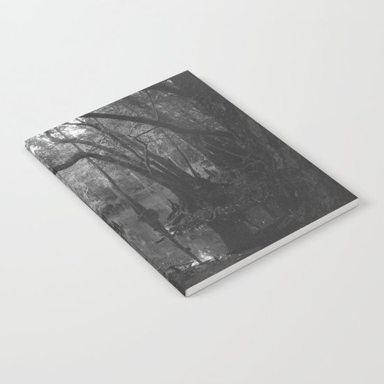 Florida Swamp Notebook