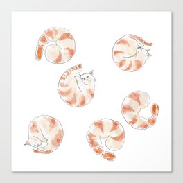 Ebinyanco -Shrimp Kitty- Canvas Print