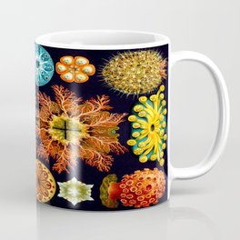 Sea Squirts (Ascidiacea) by Ernst Haeckel Coffee Mug