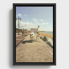 Dogwalk    Framed Canvas