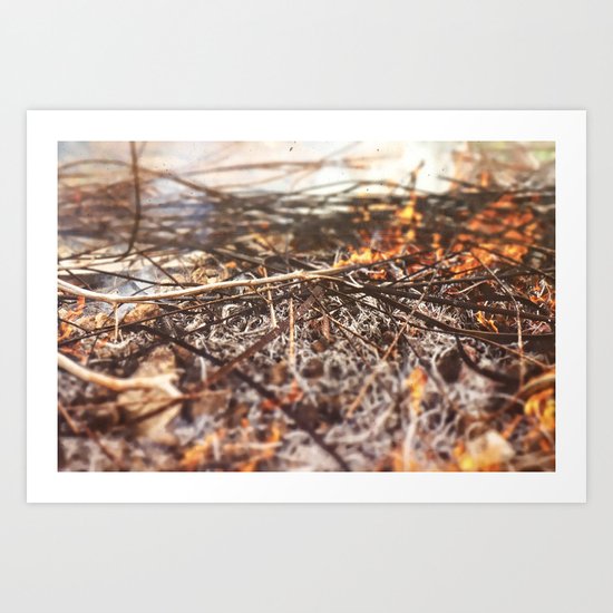 Burn Art Print
