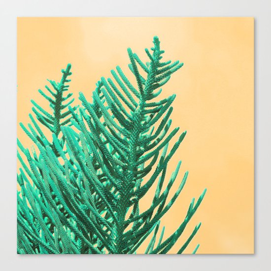 Emerald Pine Canvas Print
