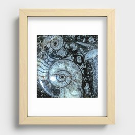 Goniatite Ammonite Recessed Framed Print