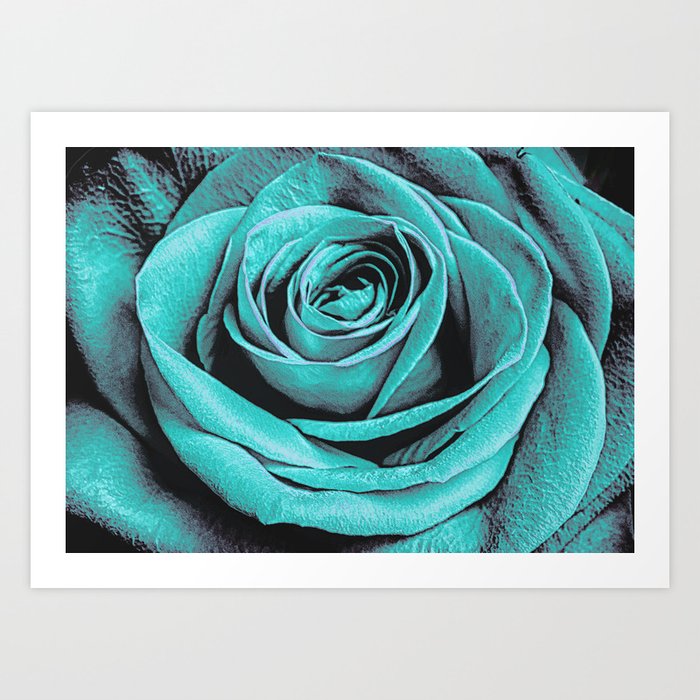 Turquoise Rose Art Print