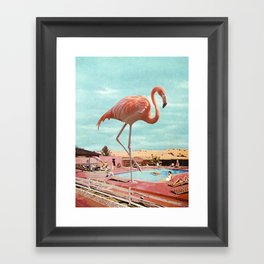 Flamingo on Holiday Framed Art Print