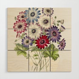 Colorful Chrysanthemums Wood Wall Art