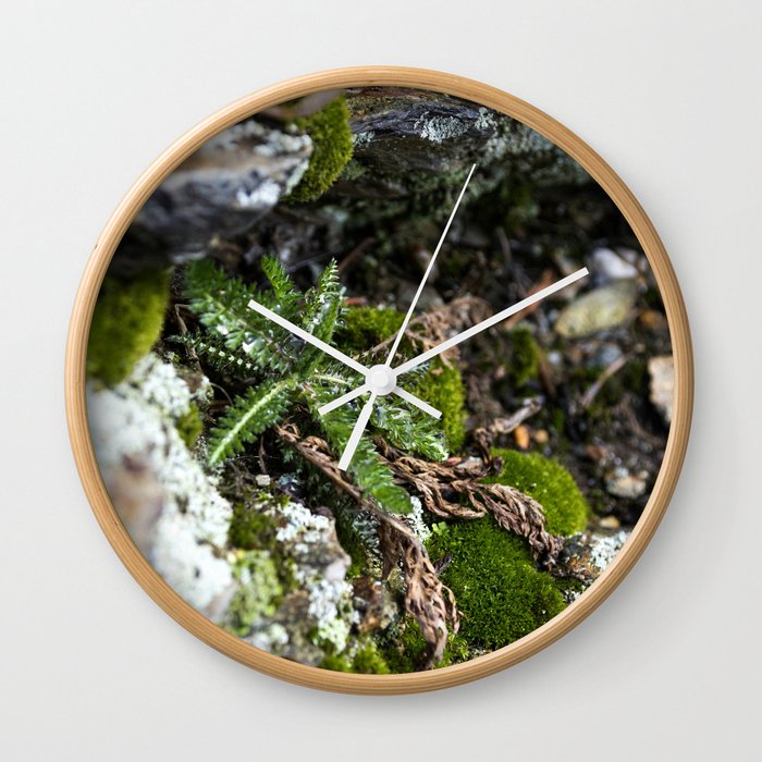 Small Fern Wall Clock