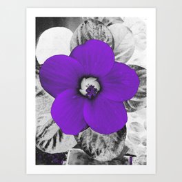 Electric Violet Flower. Art Print