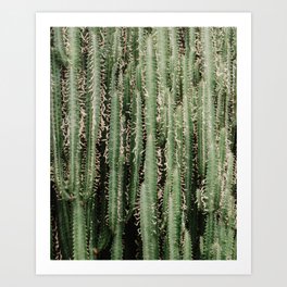 Green Plant Art Prints Society6