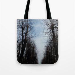 Woods in Winter during Afternoon Photo Tote Bag