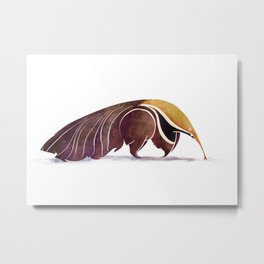 Anteater Metal Print | Australia, Zoo, Nature, Drawing, Acrylic, Tamandua, Ant, Digital, Creature, Illustration 