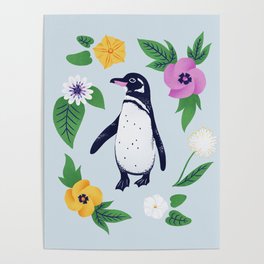 Galapagos Penguin Poster