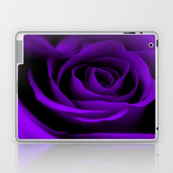 A Purple Rose Laptop & iPad Skin