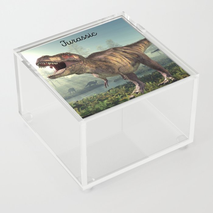 Dinosaurs Acrylic Box