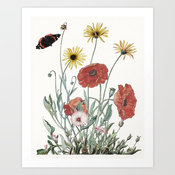 Poppies with garden plants and butterfly Art Print
