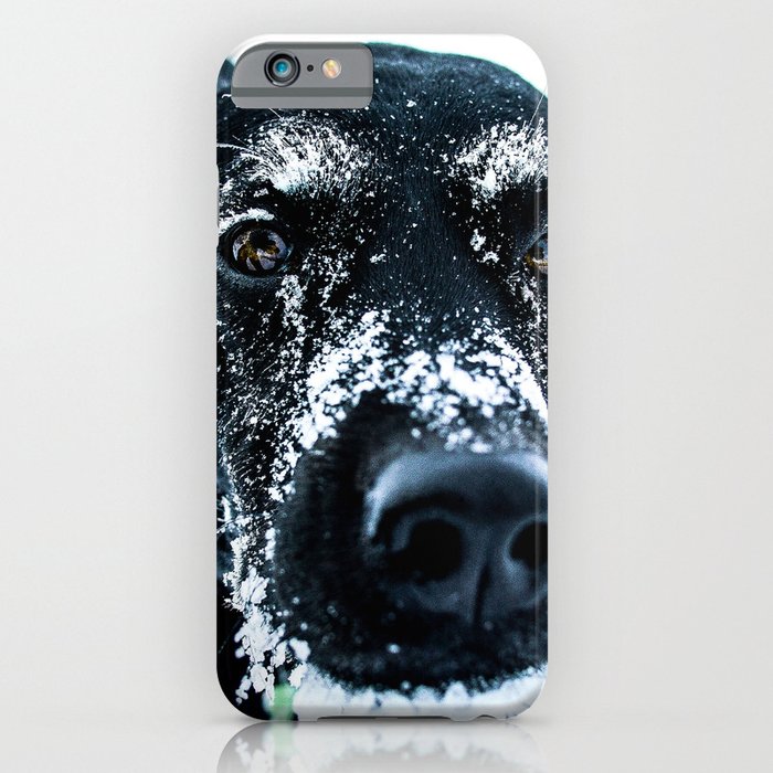Snow Dog // Cross Country Skiing Black and White Animal Photography Winter Puppy Ice Fur iPhone Case