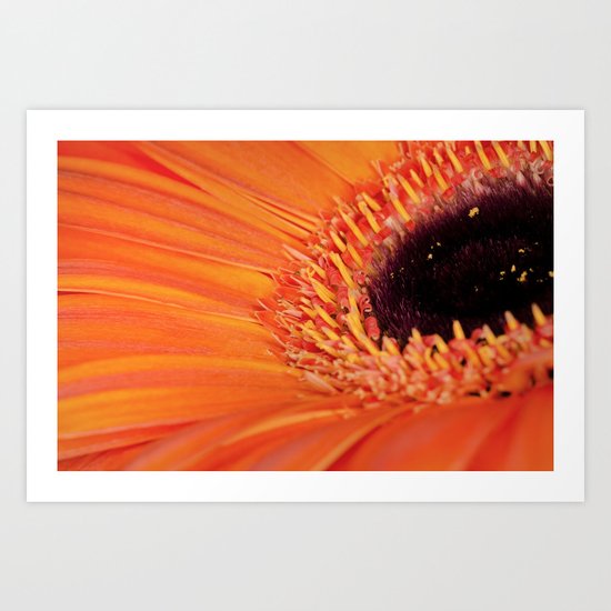 Its bloomin' orange Art Print