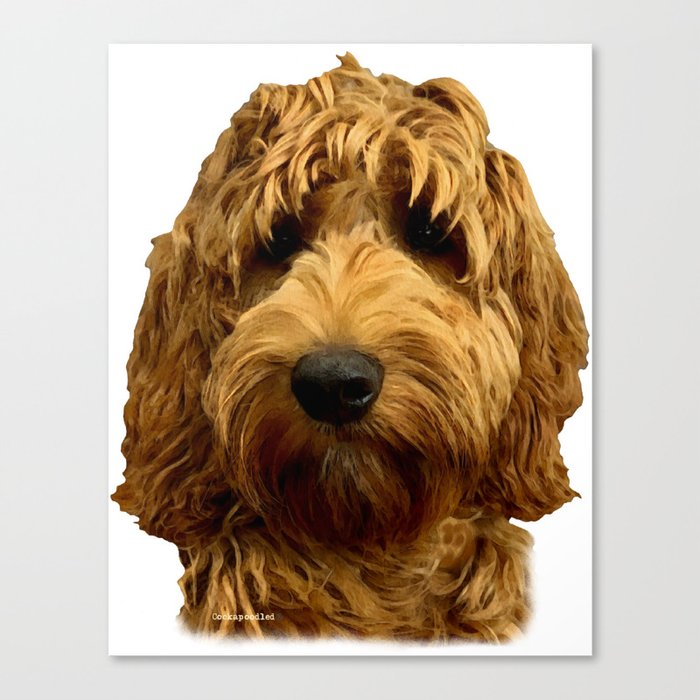 Home of Cockapoo Dogs Playing Poker Canvas Wall Art