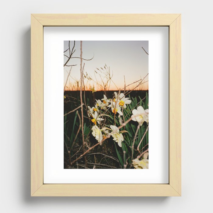 Daffodils Recessed Framed Print
