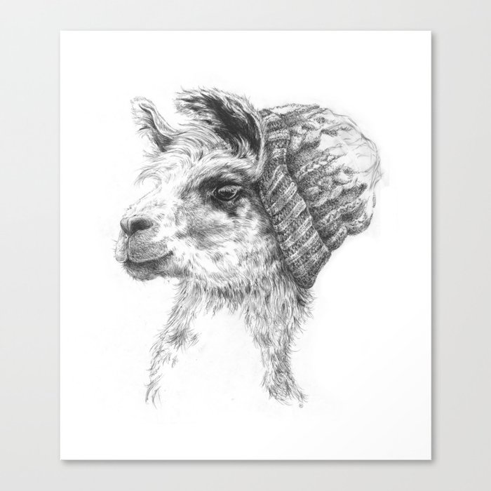 Wooly Llama Canvas Print