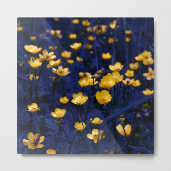 a sea of buttercups Metal Print