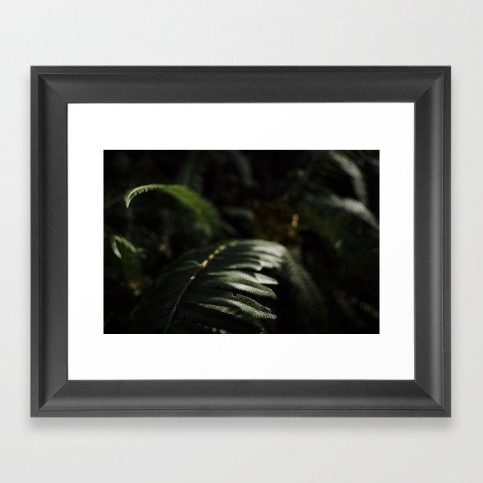 sword fern 2 Framed Art Print