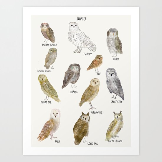 owls Art Print