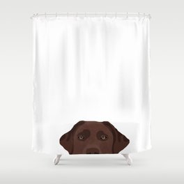 Peeking chocolate labrador dog breed cute dog face labrador retrievers Shower Curtain