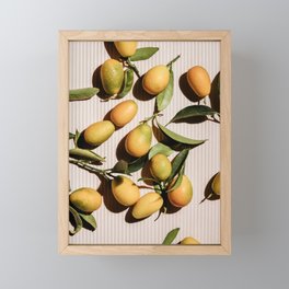 Kumquat Framed Mini Art Print