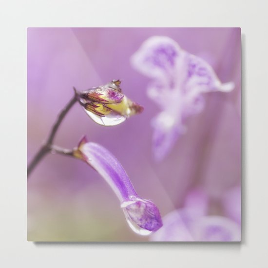 Encased in Beauty Metal Print