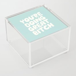 You're Doing Great Bitch Acrylic Box