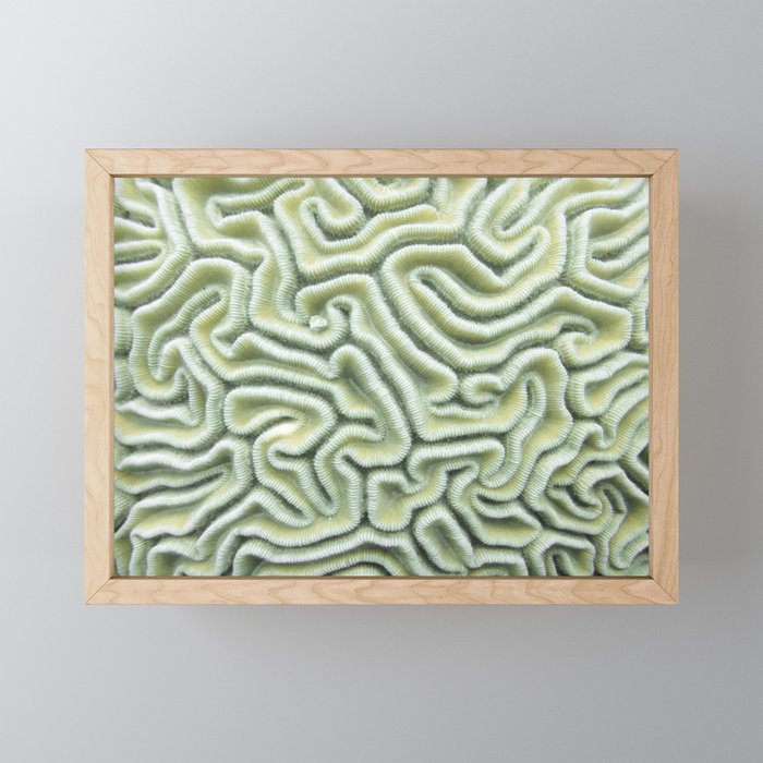 Pic Your Brain Coral (Natural) Framed Mini Art Print