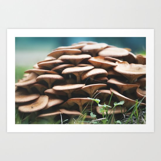 Into the Wild Art Print