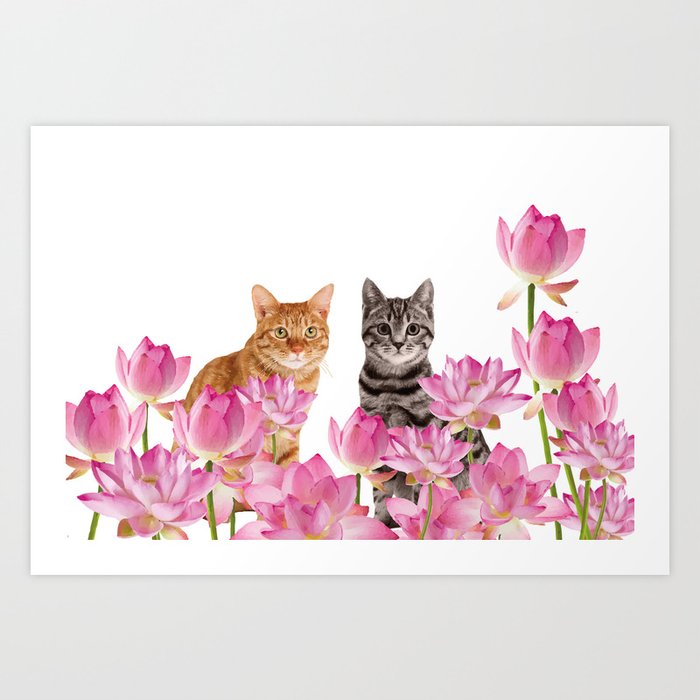 Red and Tiger cat in Lotos Flower Field Art Print
