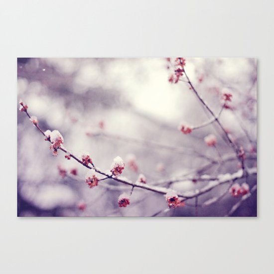 poem of the air Canvas Print