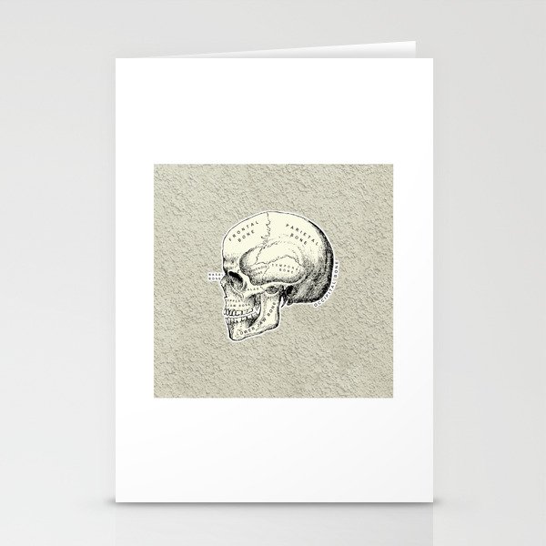 Old School Human Skull with Bones Names. Stationery Cards