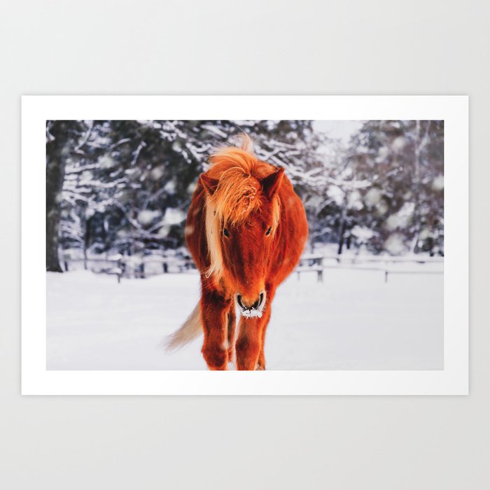 Chestnut Horse in Snowy Winter Landscape - Matte Version Art Print
