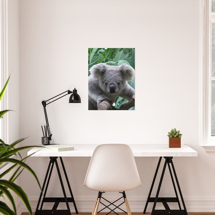 Koala And Eucalyptus Poster By Erikakai Society6