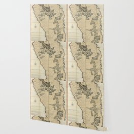 Dominica Wallpaper For Any Decor Style Society6