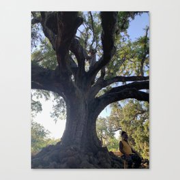 Under the Tree of Life I Canvas Print