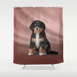 Drawing puppy Bernese Mountain Dog Shower Curtain