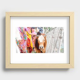 Holy cow, India Recessed Framed Print