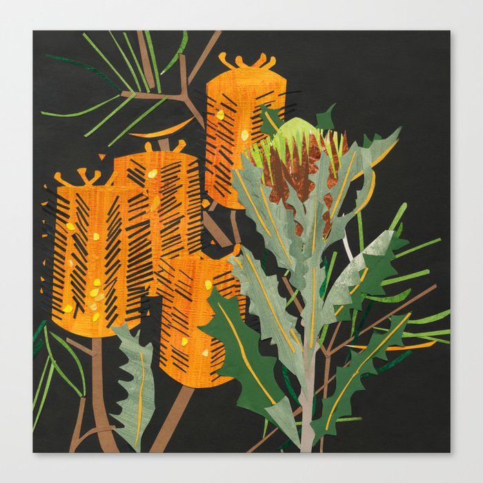 Hairpin Banksia Canvas Print