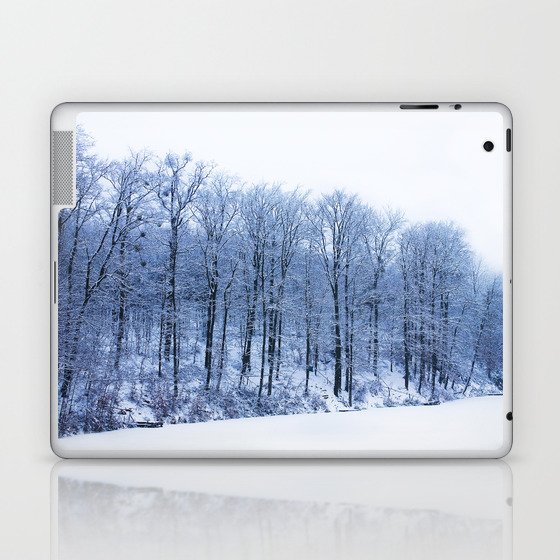 Winter Lake Laptop & iPad Skin