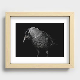 crow Recessed Framed Print