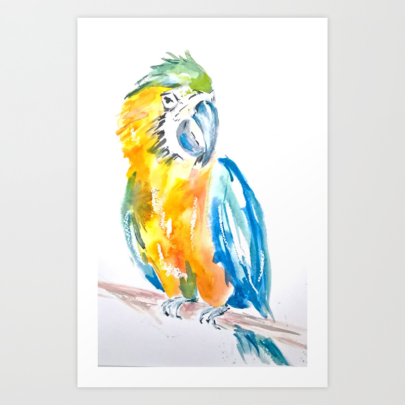 Blue And Yellow Parrot Bird Watercolour Painting Art Print By