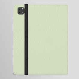 SOOTHING GREEN COLOR.  Plain Pale Celadon  iPad Folio Case