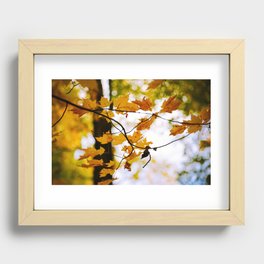 Fall leaves Recessed Framed Print
